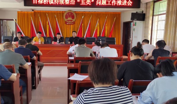 汉寿县百禄桥镇：召开持续整治“五类”问题工作推进会