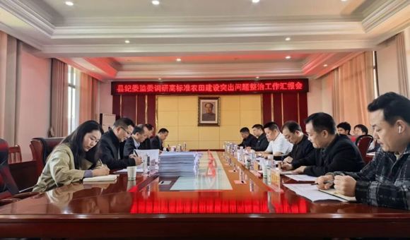 县纪委监委主要负责人调研督导高标准农田建设突出问题整治工作